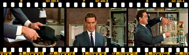 یک پرنده زنده در دست میچ قرار می گیرد. او به سمت قفس می رود آن را سرجایش می گذارد و صحنه را به اوج می رساند.