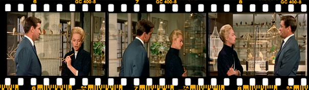 ملانی: مطمئنید  که به جاش قناری نمی خواید؟ ما این هفته یه سری قناری های خیلی خوب برامون اومده.