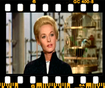 ملانی: من اون پنجره رو نشکستم