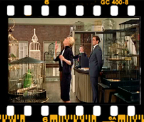 نمای باز برای بازشناسی موقعیت قرار گرفتن اشخاص ضروری است