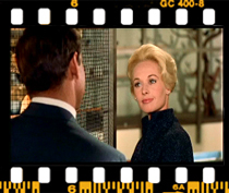 ملانی: خب نمی شه همینطوری ولشون کنیم دور تا دور مغازه پرواز کنند