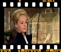 بالاخره وقتی ملانی می خواهد پرنده را بیرون بیاورد از دست اش رها می شود.