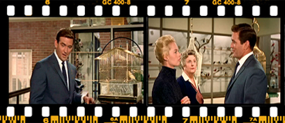 ملانی: شما اسم من رو از کجا می دونید؟