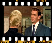 میچ: من واقعاً می خواستم مرغ عشق بخرم