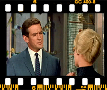 میچ: برای اینکه اونا رو در قفسای جدا از هم نگه نمی دارید دلیل پرنده شناختی وجود داره؟