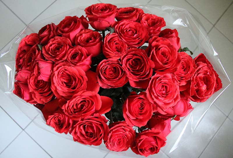 دسته گلی که حامد هاشمی امروز به من داد!