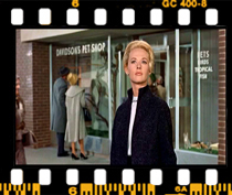 تأکید بر حضور پرندگان با تصویر بسته تری از ملانی