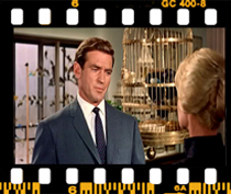 میچ: خب من می خوام اونا رو به عنوان کادو روز تولد بدم به خواهرم و از اونجایی که اون فقط یازده سالشه یه جفت پرنده نمی خوام که خیلی به همدیگه بچسبند.