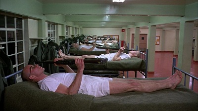 عکس شماره 19