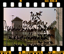 دقیقه 71 فیلم پرندگان: نمای ج