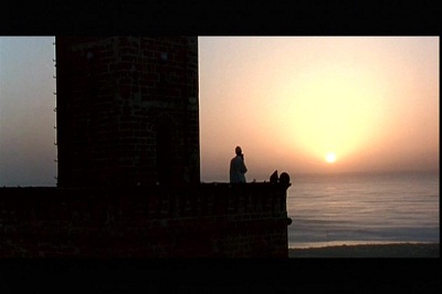 عکس شماره 10