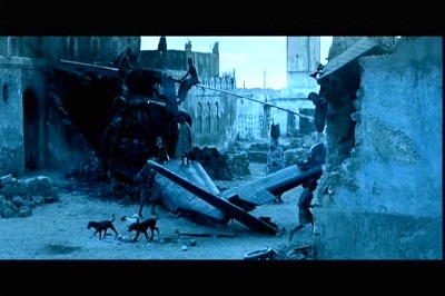 عکس شماره 15