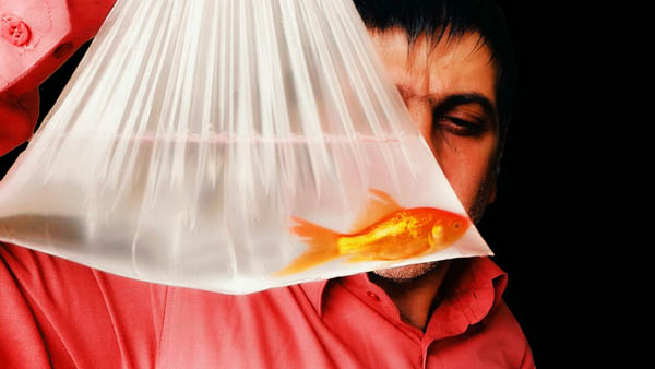 غلامعباس فاضلی