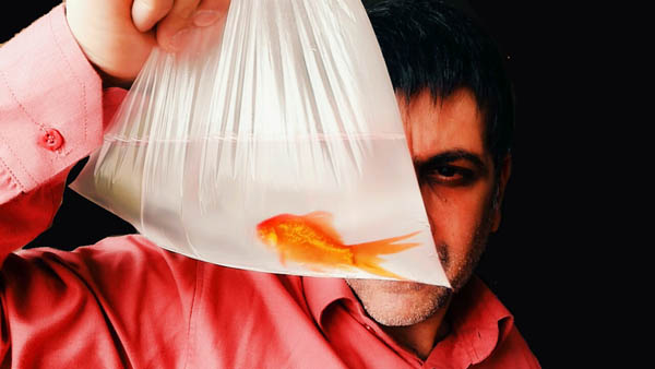 غلامعباس فاضلی