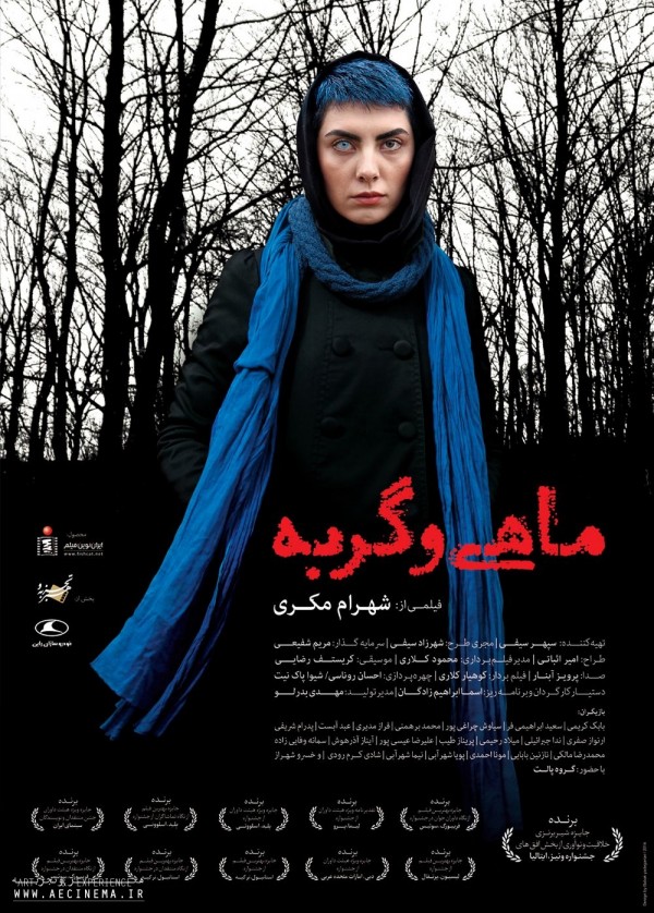 ماهی و گربه