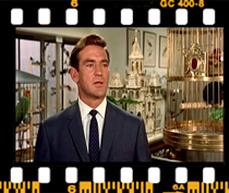 میچ: گفتم ببخشید شما می تونید به من کمک کنید؟