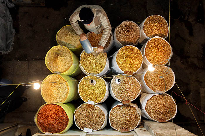 عکس از فاطمه بهبودی