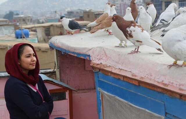 فیلم تهیه‌کننده ایرانی نماینده افغانستان در اسکار شد/ حمایت آنجلینا جولی از فیلم